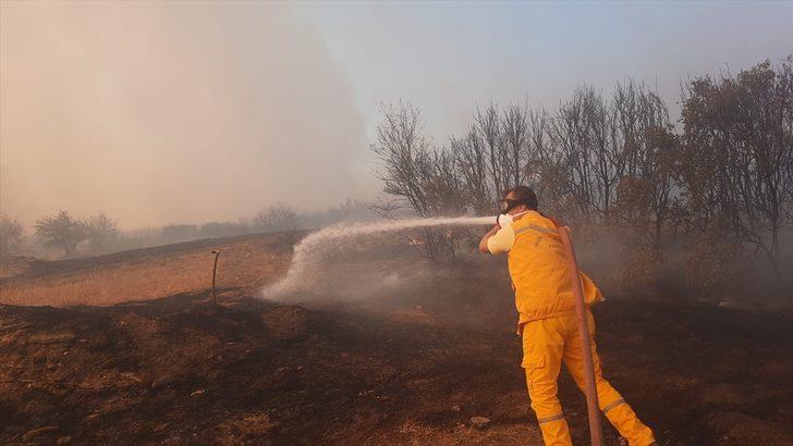 Aydın'da makilik alanda çıkan yangına müdahale ediliyor G3