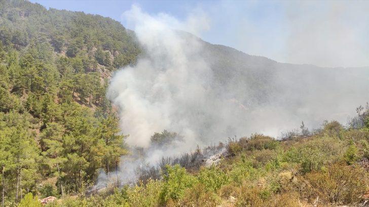 Tarım ve Orman Bakanı Bekir Pakdemirli: "(Orman yangınları) Bugün itibarıyla 20 yangın çıkmış durumda. 18'i kontrol altında" G4