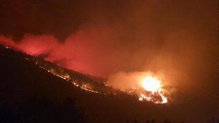 Hassa'da iki ayrı noktada orman yangını 