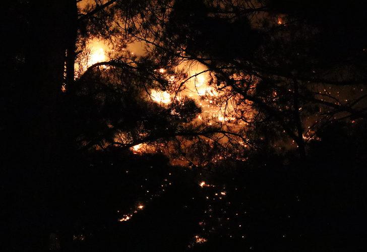 Mersin ve Hatay'da orman yangını! Bakan Pakdemirli'den açıklama G3