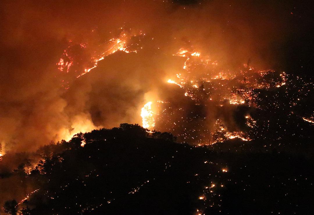 Mersin ve Hatay'da orman yangını! Bakan Pakdemirli'den a&ccedil;ıklama