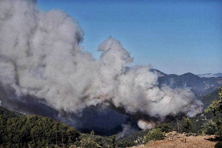 GÜNCELLEME - Mersin'de dün çıkan orman yangınına havadan ve karadan müdahale ediliyor G1