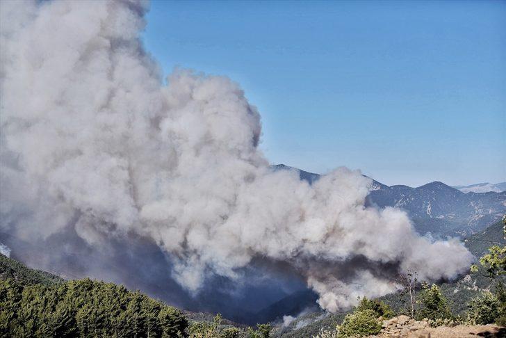 GÜNCELLEME - Mersin'de dün çıkan orman yangınına havadan ve karadan müdahale ediliyor G2