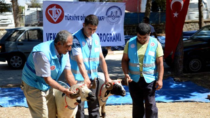 Vekaleten kurban bağışı fiyatları ne kadar? 2021 LÖSEV, Diyanet, Kızılay ve Mehmetçik Vakfı kurbanlık fiyatları  G2