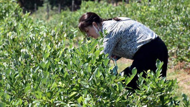 Terk edilen yerde yaptılar! Servet kazandırıyor