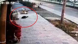 Eşinin öldürdüğü özel harekat polisinin balkondan düştüğü anın görüntüsü ortaya çıktı