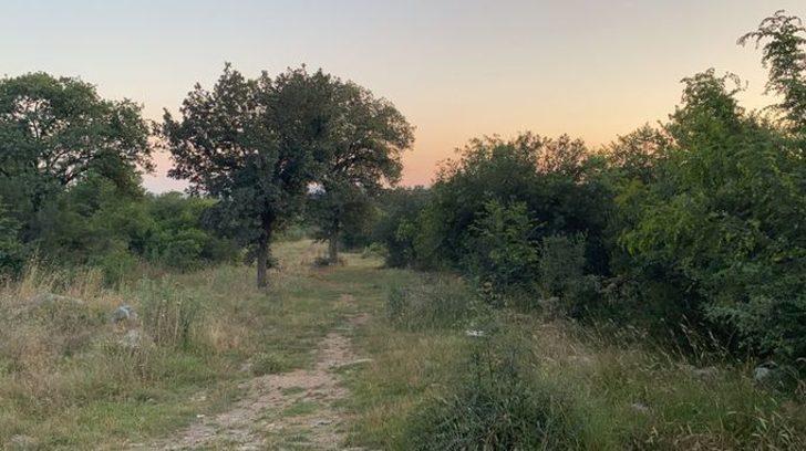 Kızının başı taşla ezilmişti! Acılı babadan çarpıcı sözler G1