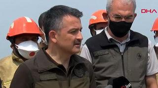 Bakan Pakdemirli'den Mersin ve Hatay'daki orman yangınlarıyla ilgili açıklama