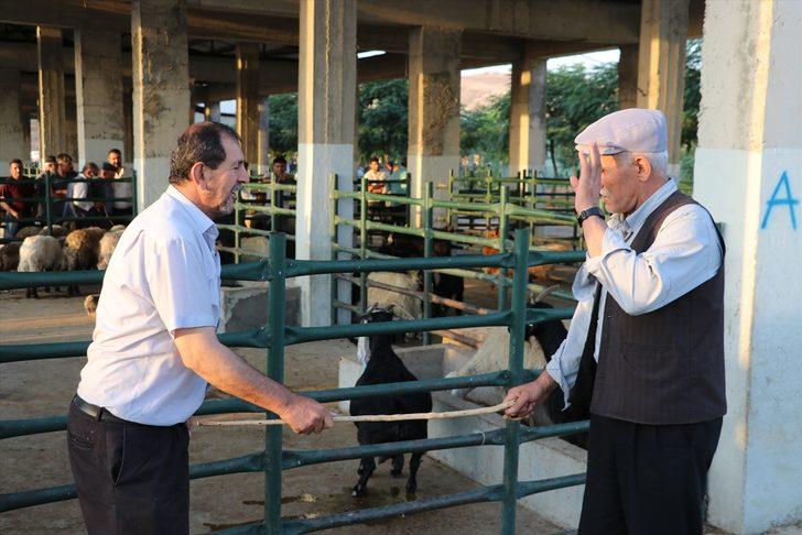 Güneydoğu'da kurbanlık satışları besicilerin yüzünü güldürüyor G1