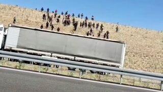 Kaçak göçmenleri otoyolda bıraktılar! Valilikten açıklama