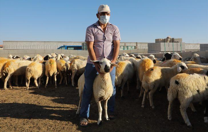 Aksaray Valiliği, koyunları telef olan üreticiyi sevindirdi G2