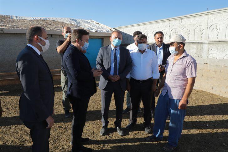 Aksaray Valiliği, koyunları telef olan üreticiyi sevindirdi G3