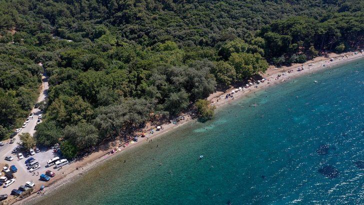 Kuşadası ve Didim sahillerinde bayram hareketliliği G3