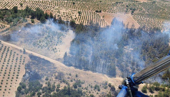 Denizli'de çıkan orman yangınında 2 hektarlık alan zarar gördü
