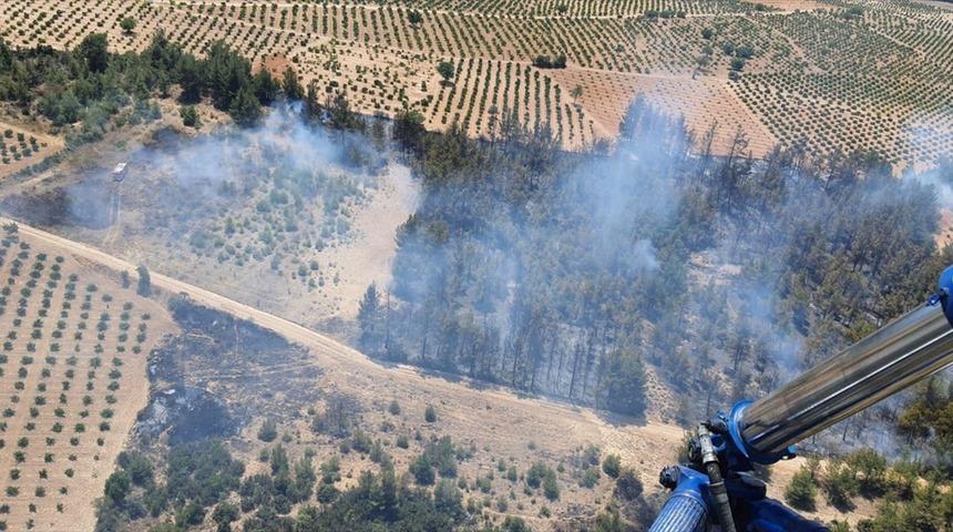 Denizli'de çıkan orman yangınında 2 hektarlık alan zarar gördü