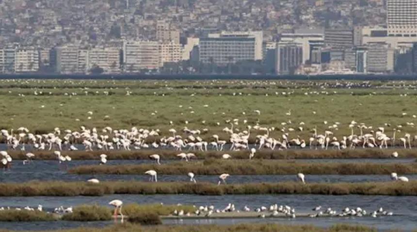 Tuz Gölü'nden sonra şimdi de Gediz Deltası! İnceleme başlatıldı