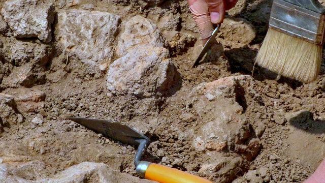 İngiltere'de 2 bin yıllık taş oyması penis heykeli bulundu! Yaklaşık 28 santimetre