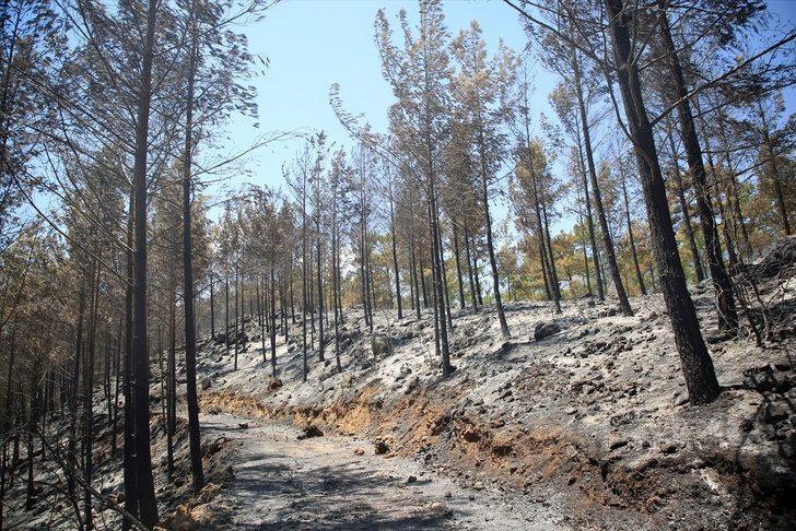 GÜNCELLEME - Mersin'de kontrol altına alınan orman yangını bölgesinde soğutma çalışmaları sürüyor G5