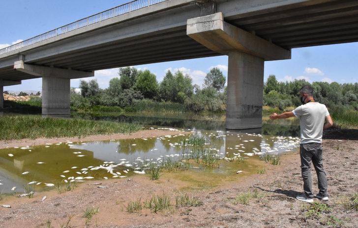 Kızılırmak'taki balık ölümlerinin nedeni, oksijen azlığı G4