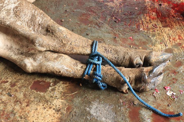 Kurban nasıl yatırılır? Rueff tekniği nedir ve nasıl yapılır? En kolay kurban yere yatırma yöntemi! G2