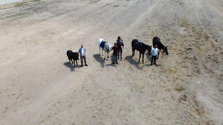 Osmanlı'nın kuruluş toprağında binicilik sporuyla tanışıyorlar G4