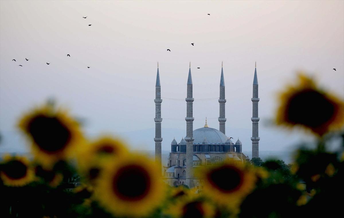 Edirne'de a&ccedil;an ay&ccedil;i&ccedil;eklerinin oluşturduğu sarı ş&ouml;len kenti dev bir yağlı boya tablosuna d&ouml;n&uuml;şt&uuml;rd&uuml;