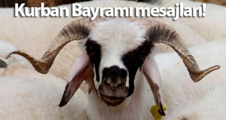 Eşe, dosta, arkadaşa anlamlı bayram mesajları 2021! İşte en güzel ve farklı Kurban Bayramı mesajları G5