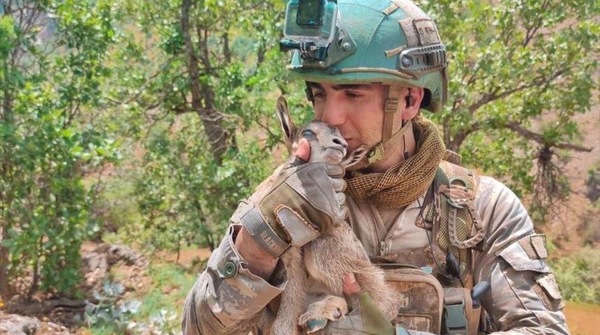 Mehmetçik, yavru ceylana sahip çıktı