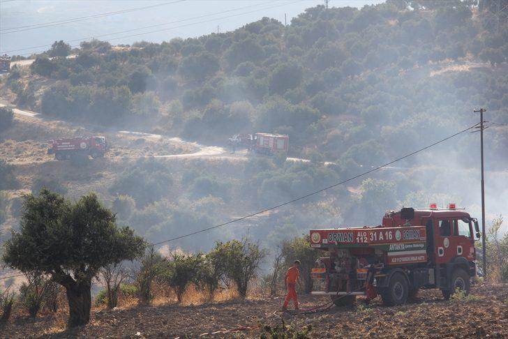Hatay'da tarım arazisinde çıkan yangın kontrol altına alındı G1