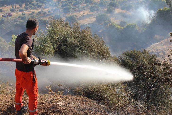 Hatay'da tarım arazisinde çıkan yangın kontrol altına alındı G2