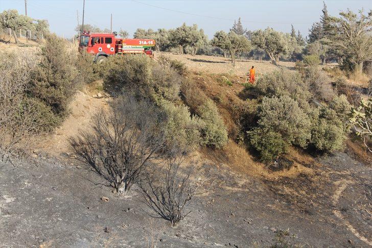 Hatay'da tarım arazisinde çıkan yangın kontrol altına alındı G3