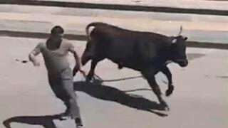 Sahibinin elinden kaçan kurbanlık boğa, kafeteryaya girdi