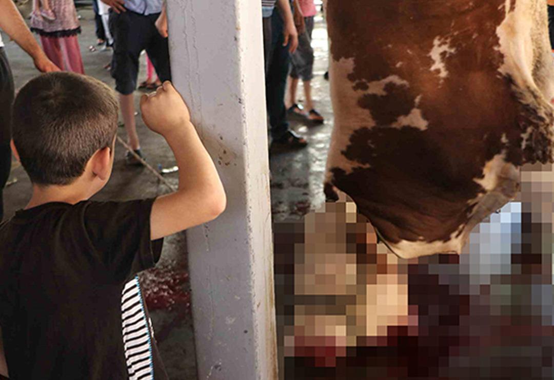 Yetişkinler kurbanları kesti, &ccedil;ocuklar izledi