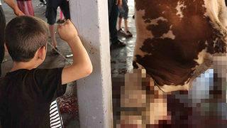 Yetişkinler kurbanları kesti, çocuklar izledi