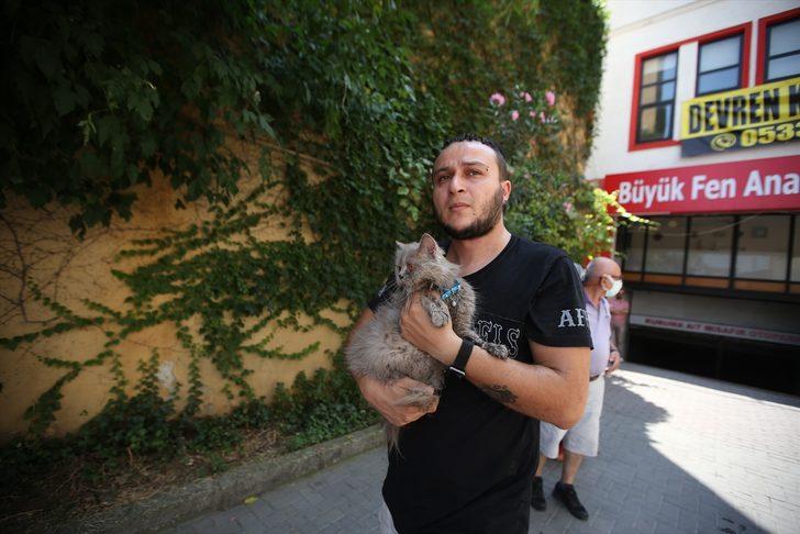 Bursa'da yangında mahsur kalan kedileri itfaiye kurtardı G2