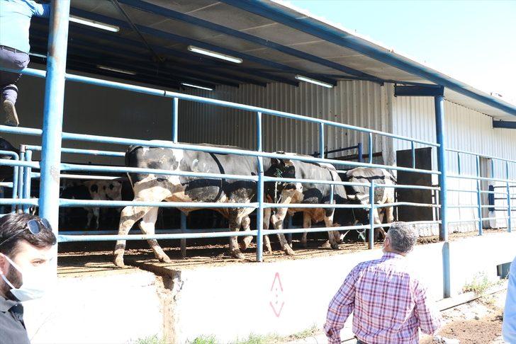 İç Anadolu'da Kurban Bayramı kutlanıyor G1