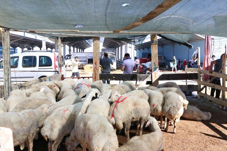 İç Anadolu'da Kurban Bayramı kutlanıyor G3