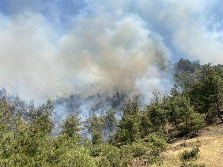 GÜNCELLEME - Kahramanmaraş'ta çıkan orman yangınına havadan ve karadan müdahale ediliyor G2