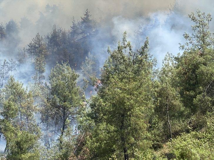 GÜNCELLEME - Kahramanmaraş'ta çıkan orman yangınına havadan ve karadan müdahale ediliyor G3