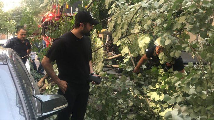 Tolga Sala'nın otomobilinin üstüne ağaç devrildi G1