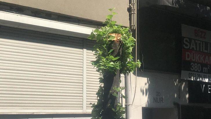 Tolga Sala'nın otomobilinin üstüne ağaç devrildi G2