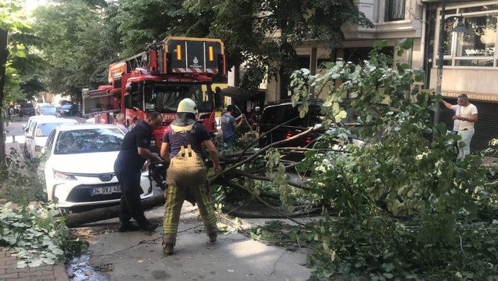 Tolga Sala'nın otomobilinin üstüne ağaç devrildi G3