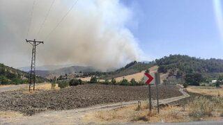 Son dakika: Kahramanmaraş'ta orman yangını!