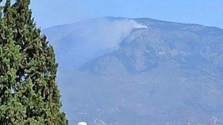 Hatay'da orman yangını