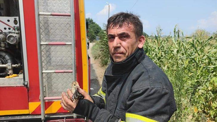 Zonguldak'ta çıkan çiftlik yangınında 12 bin hindi yavrusu telef oldu G2