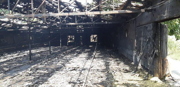 Zonguldak'ta çıkan çiftlik yangınında 12 bin hindi yavrusu telef oldu G3