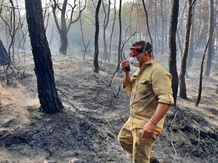 GÜNCELLEME - Osmaniye'deki orman yangını kontrol altına alındı G3