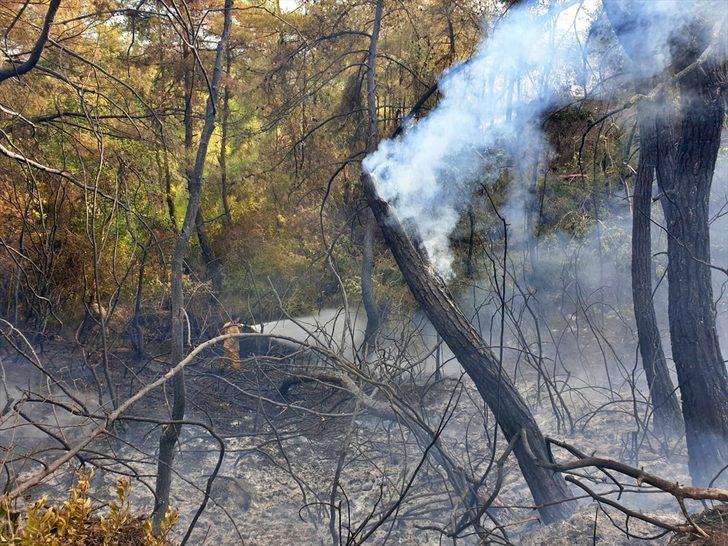 GÜNCELLEME - Osmaniye'deki orman yangını kontrol altına alındı G4