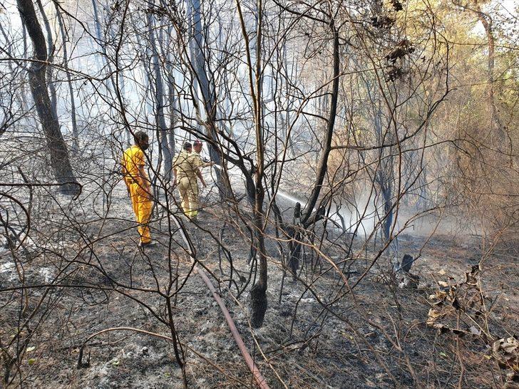 GÜNCELLEME - Osmaniye'deki orman yangını kontrol altına alındı G5