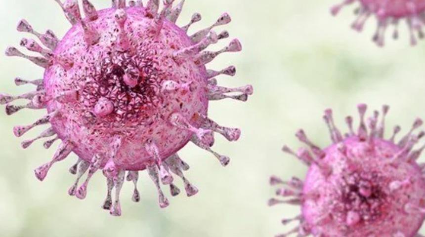 ABD’de maymun çiçeği virüsü alarmı: 200’den fazla temaslı izleniyor